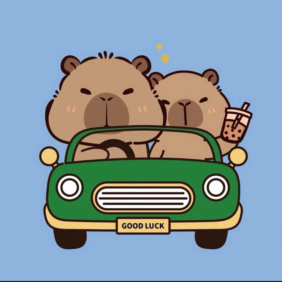 卡皮猪潮玩寄拍（接寄拍）