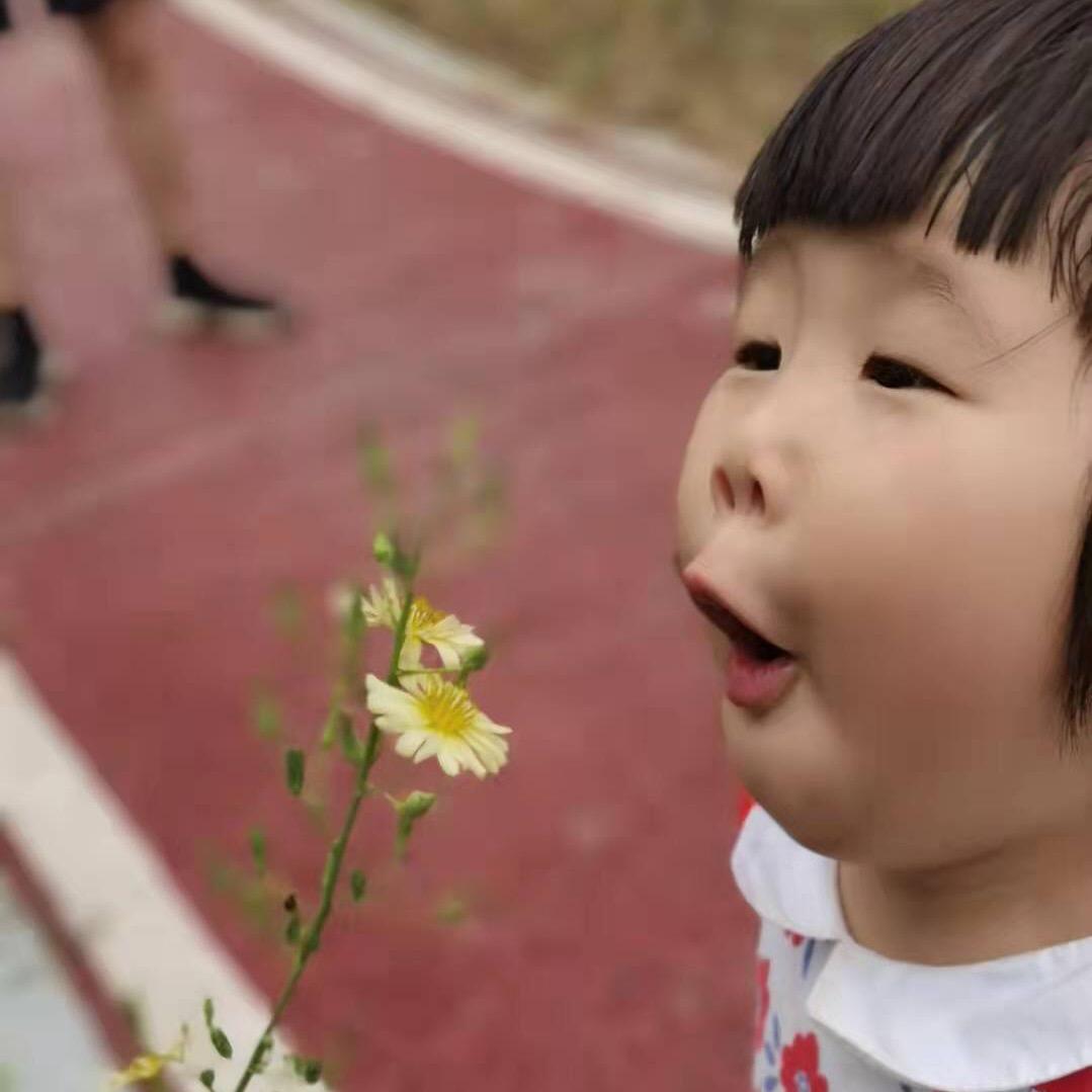 高中物理刘