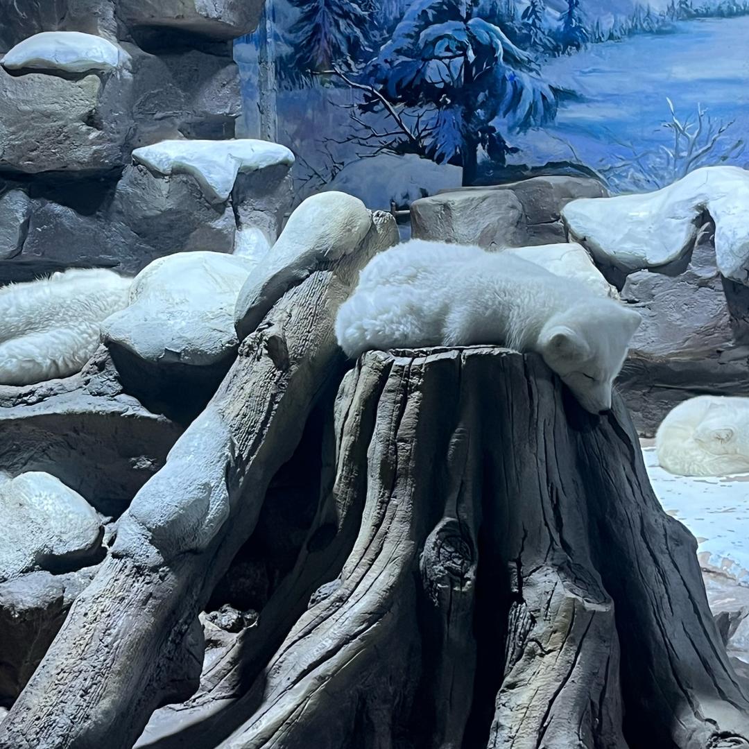 孩子是国家的未来和底线