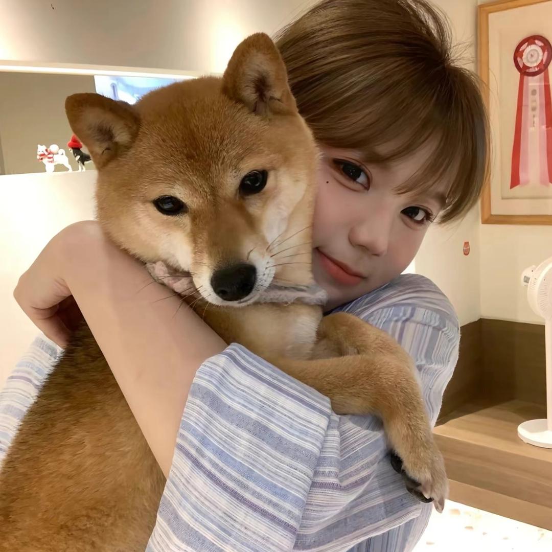 西红柿