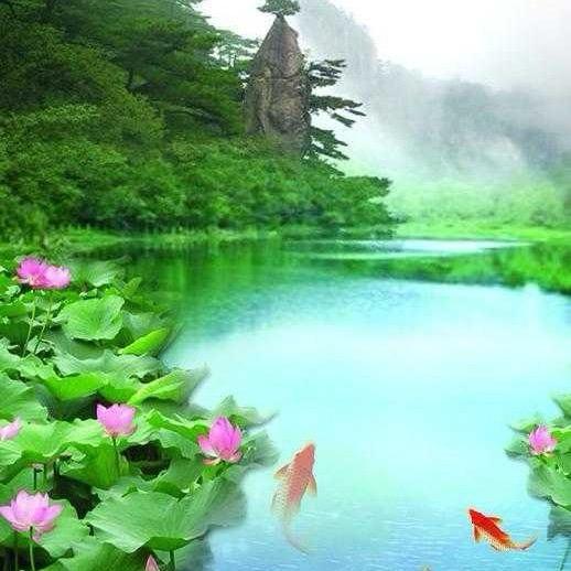 野狼