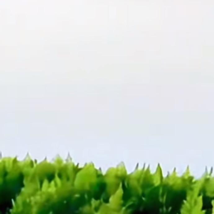 戒备