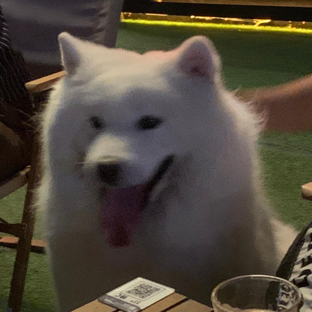米多