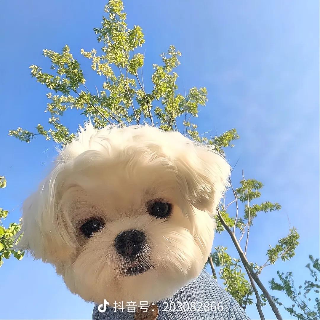 熊熊零售超市