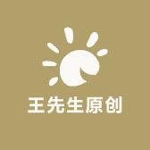 王先生原创童品