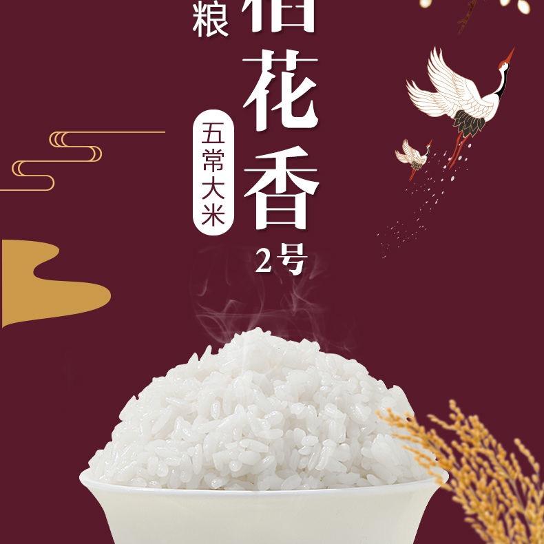 五常六六农民合作社