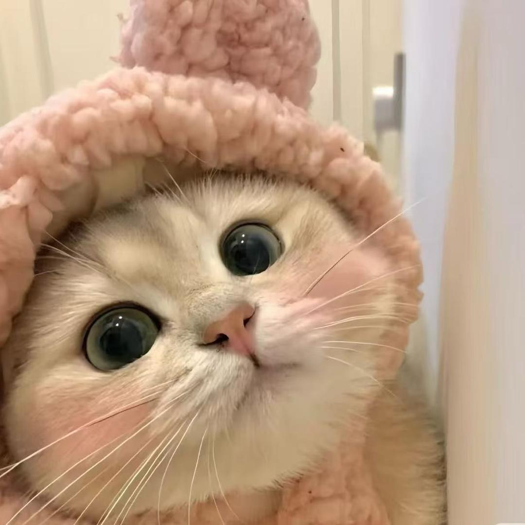 SW潮玩