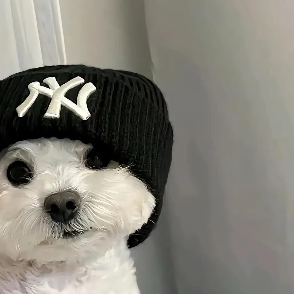 诣