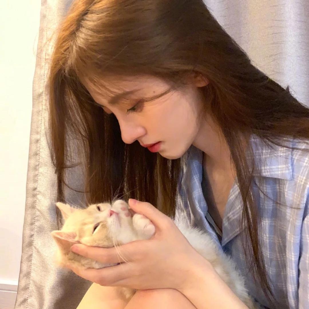 小猫暖暖