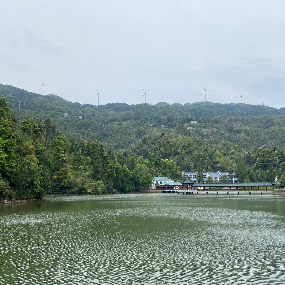 我在这里