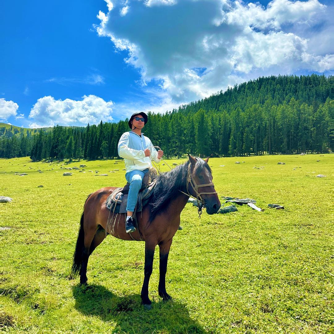 蚌埠柱了（🐮🐴）