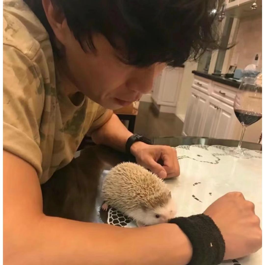 程艾影🦔🦔
