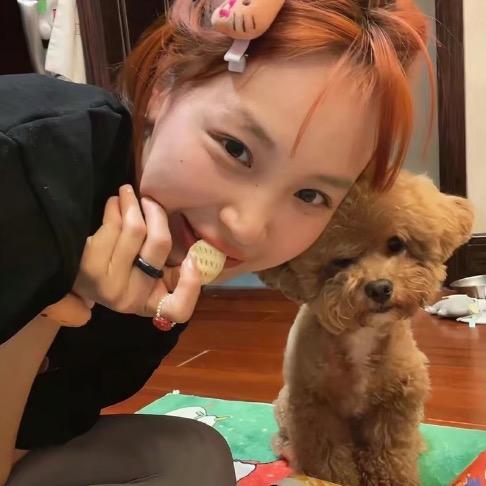小杜不吃苹果