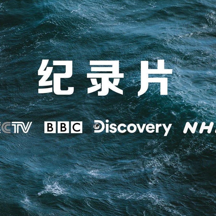 爱看纪录片