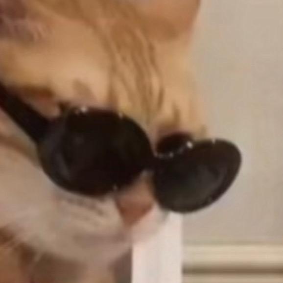 再犟嘴给你两下子