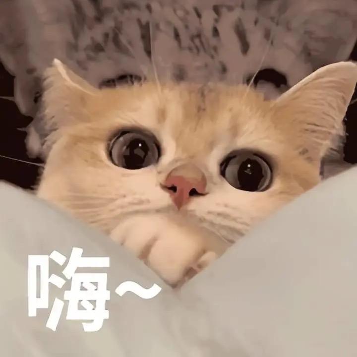 阿友