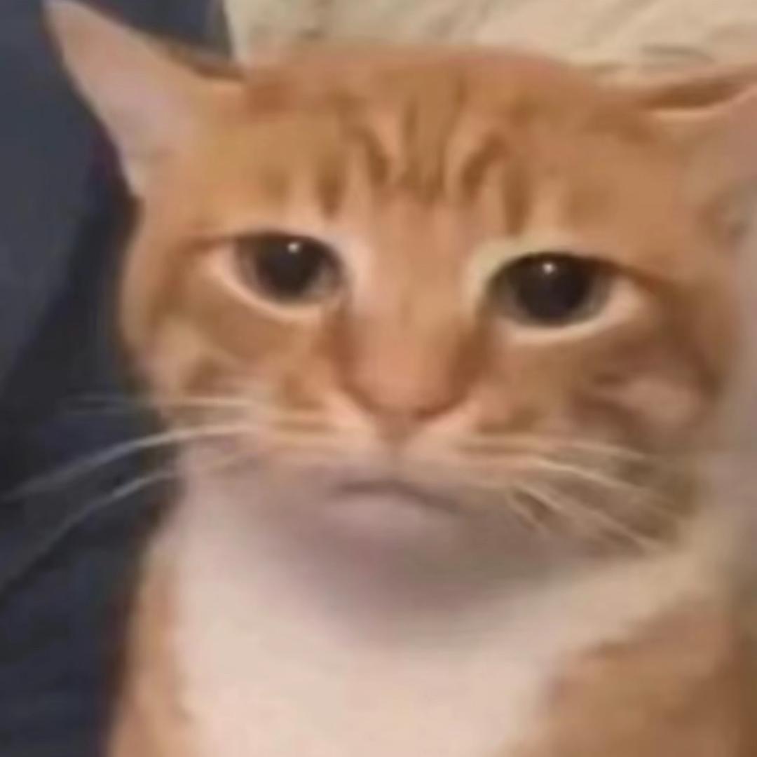 真理
