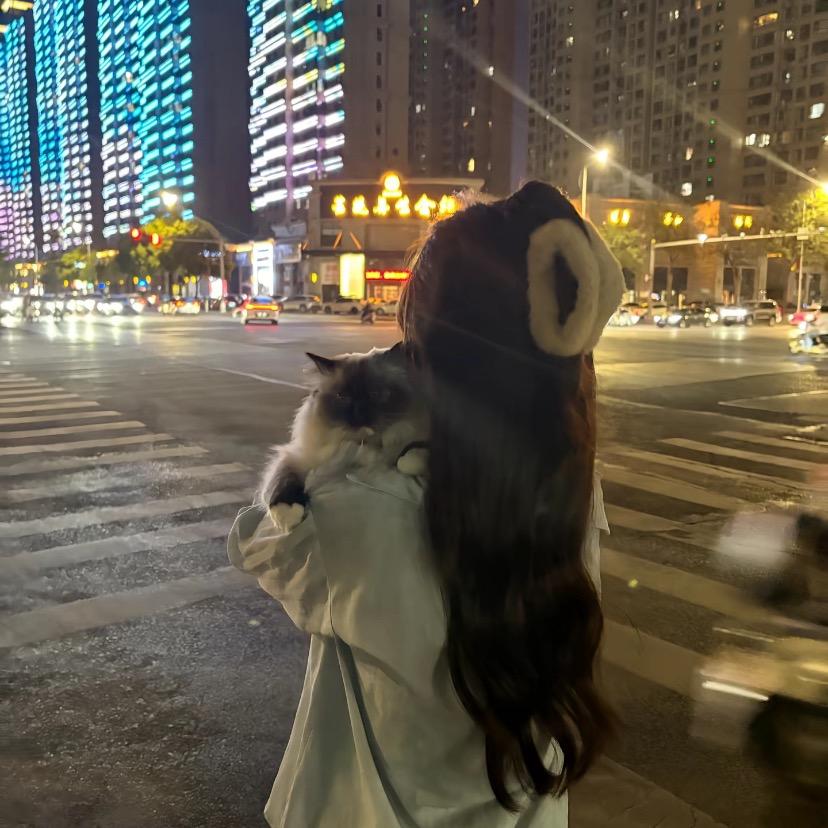 小猫.