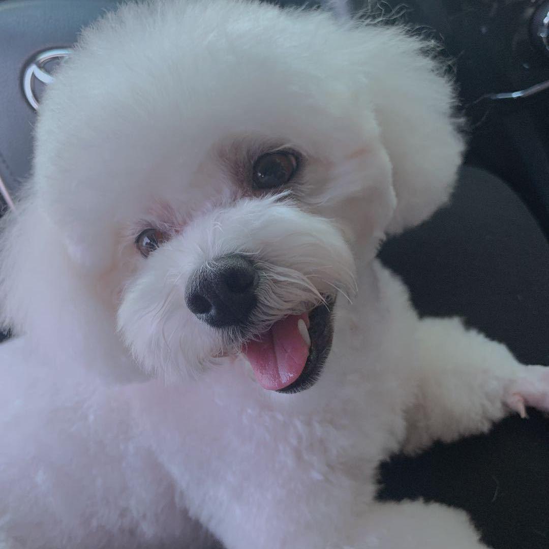 家有旺仔保平安