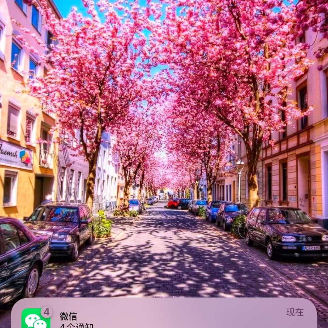 西兰花