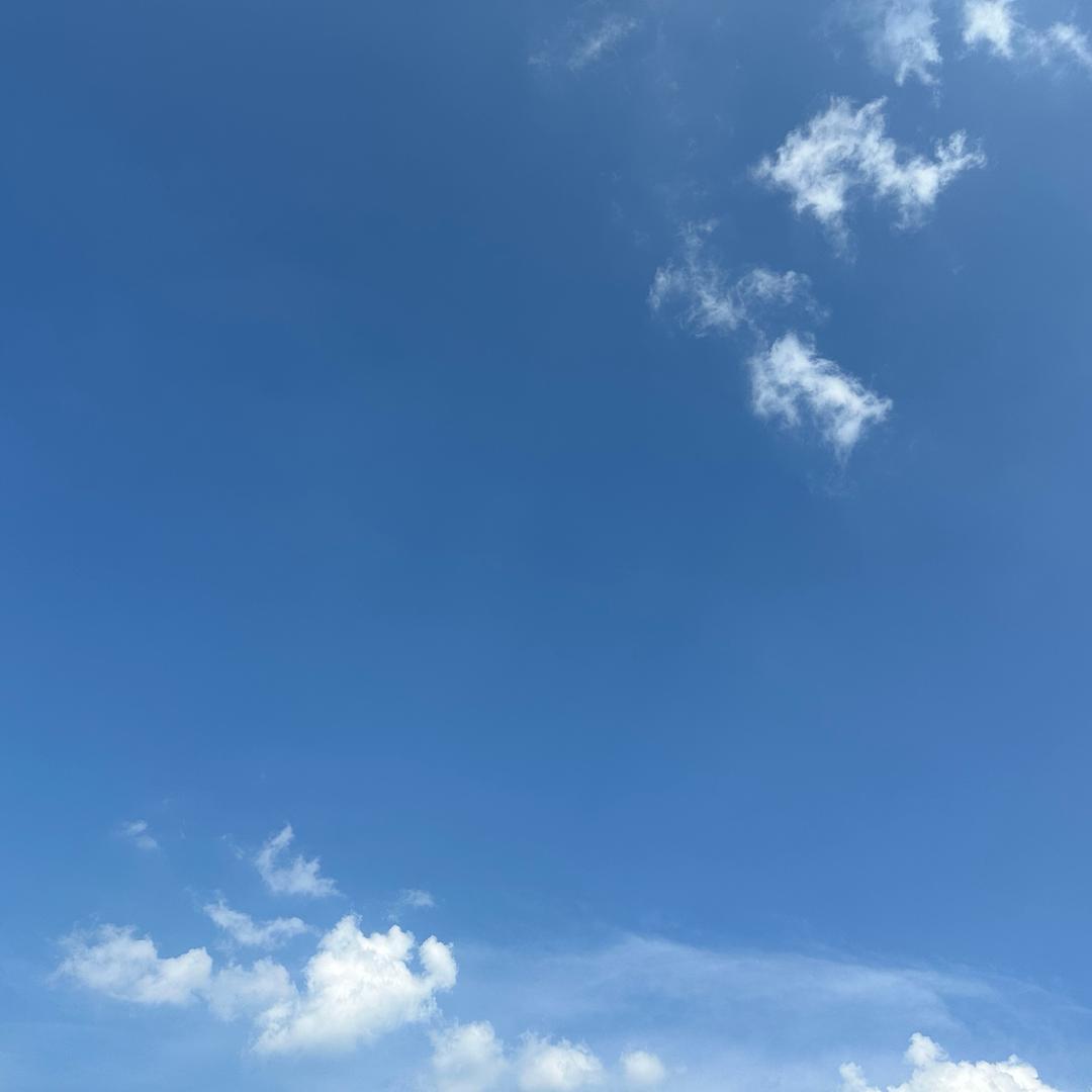 姜小姜