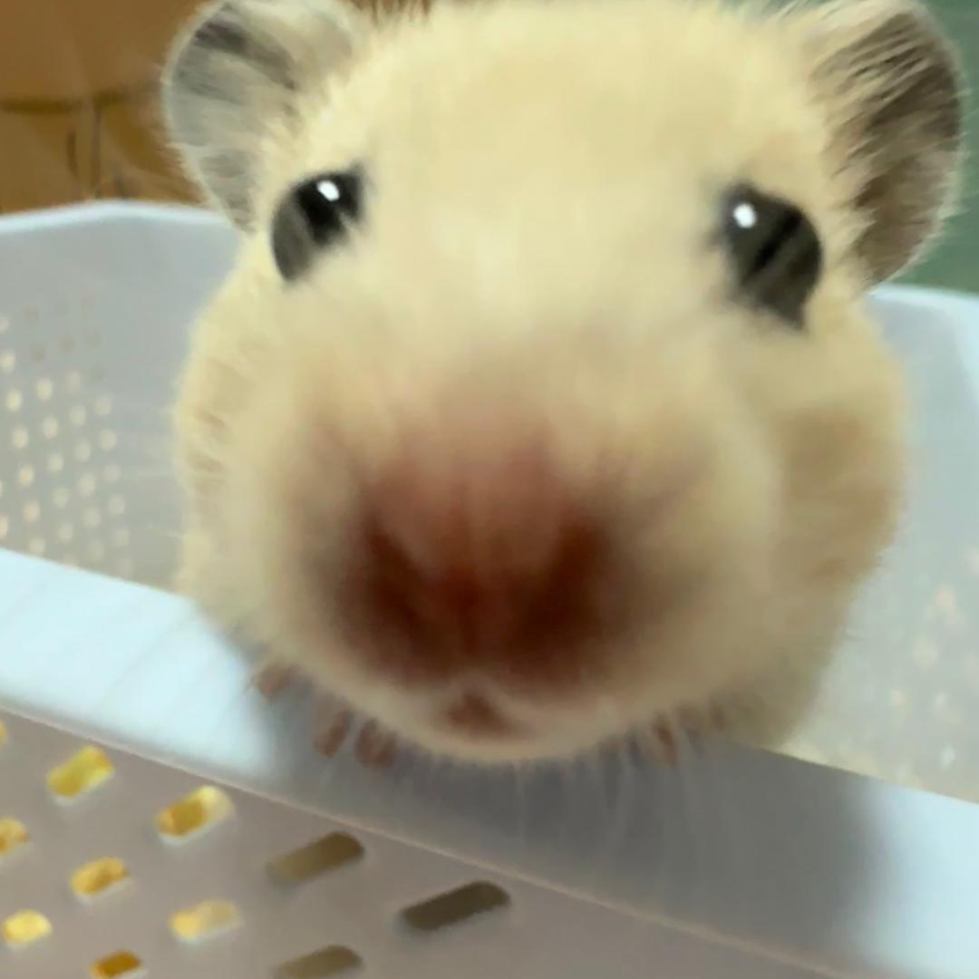 一直喜欢方大同