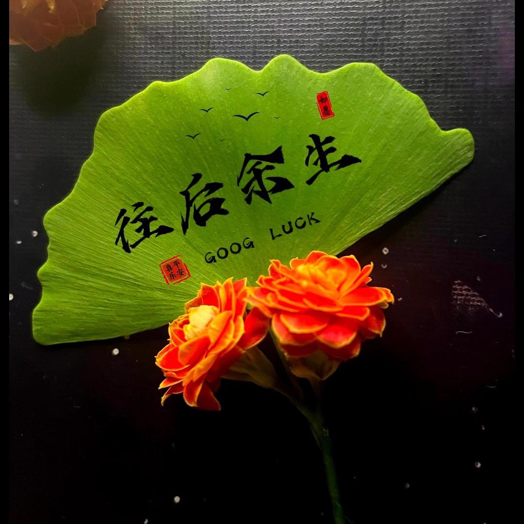 💔往后余生💔