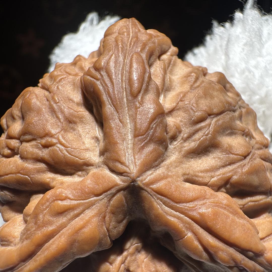 【核如意】-悬日月文玩