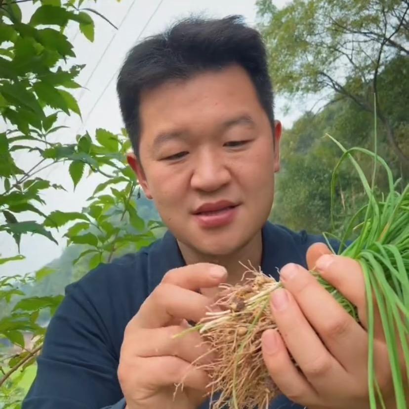 东方百草