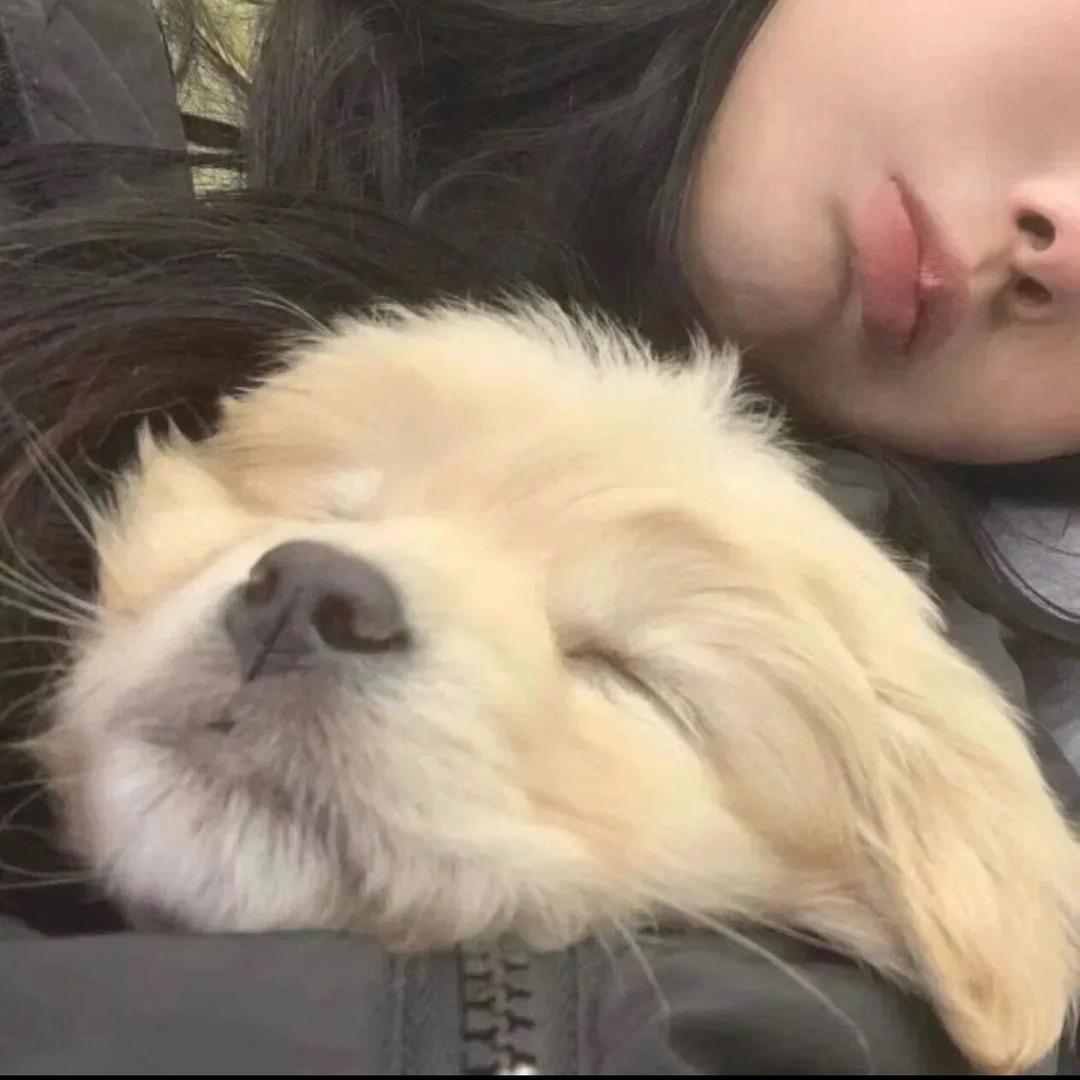 想失眠x.