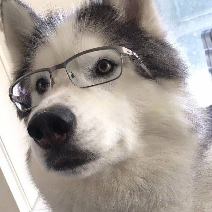 升z