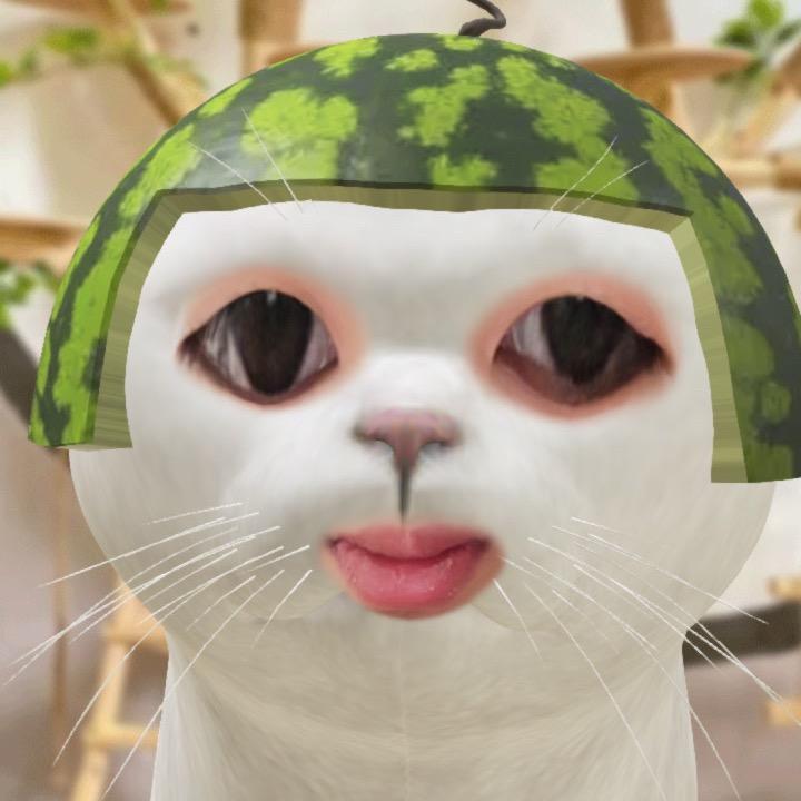 讲真