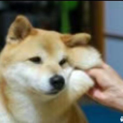 一学期满课
