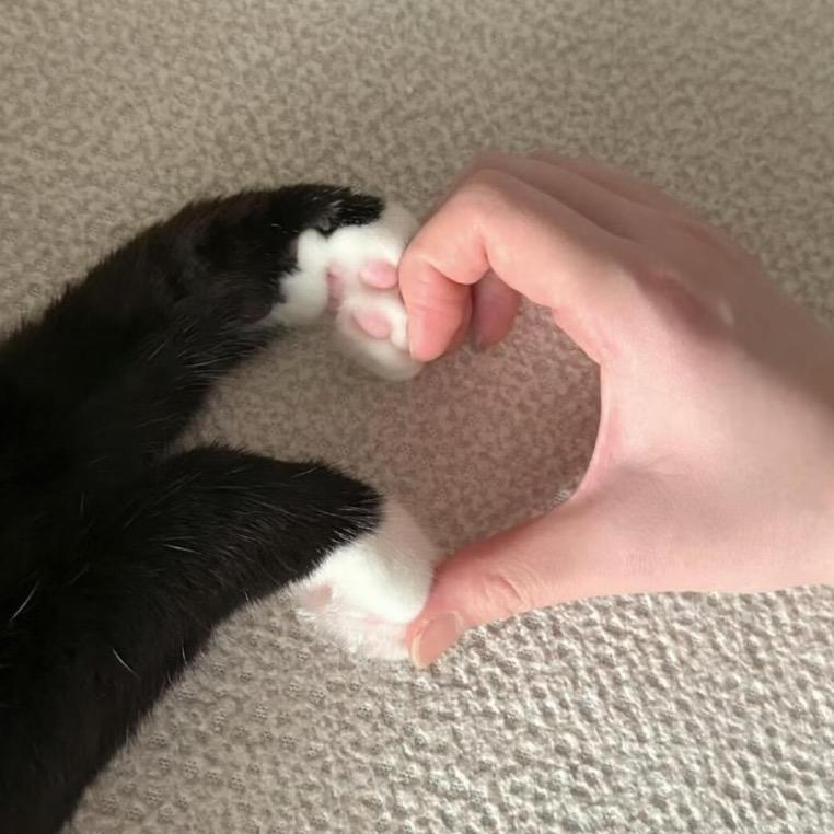 西西