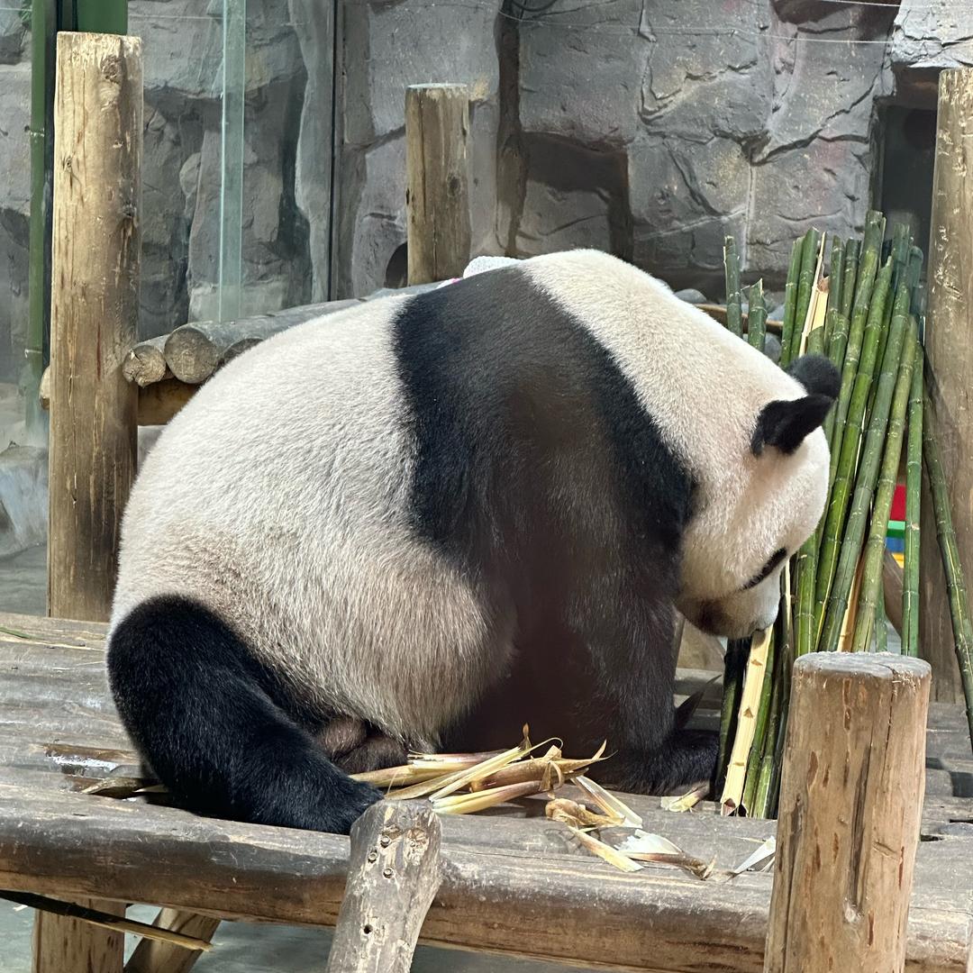 冰糖葫芦.