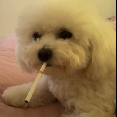 乄鈊殇亥氼