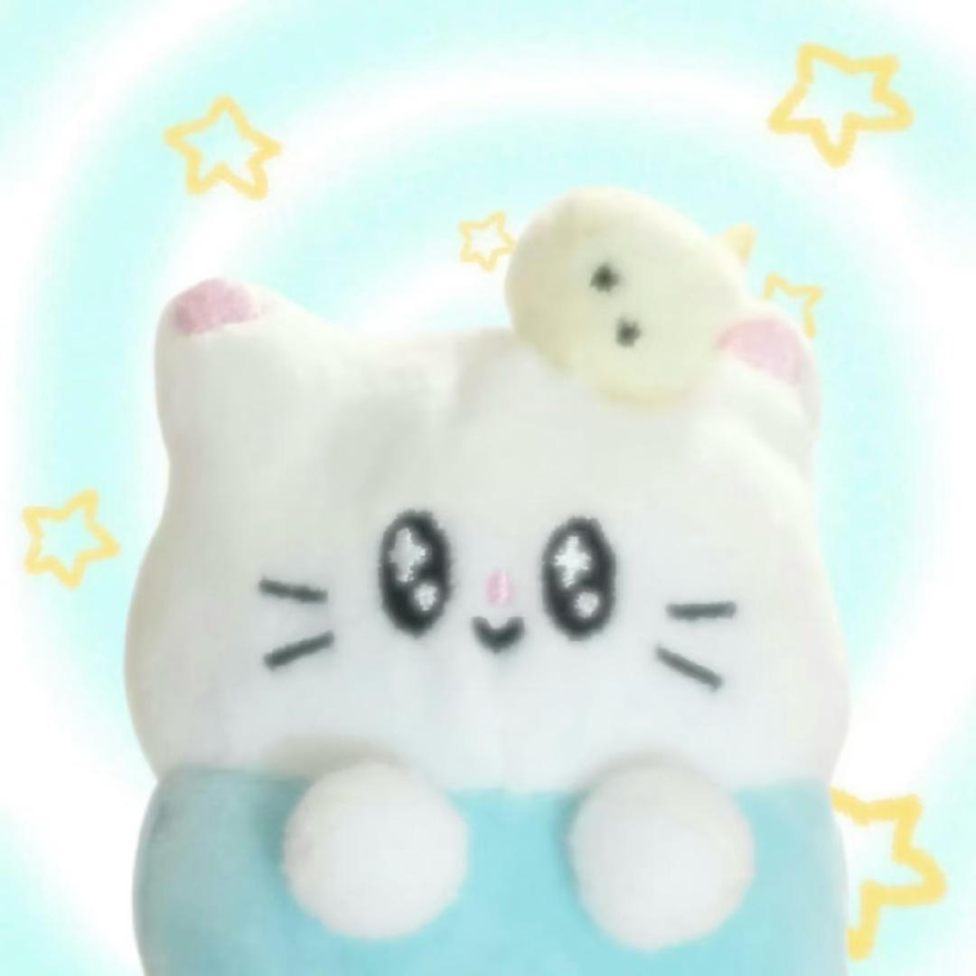 一颗小丸