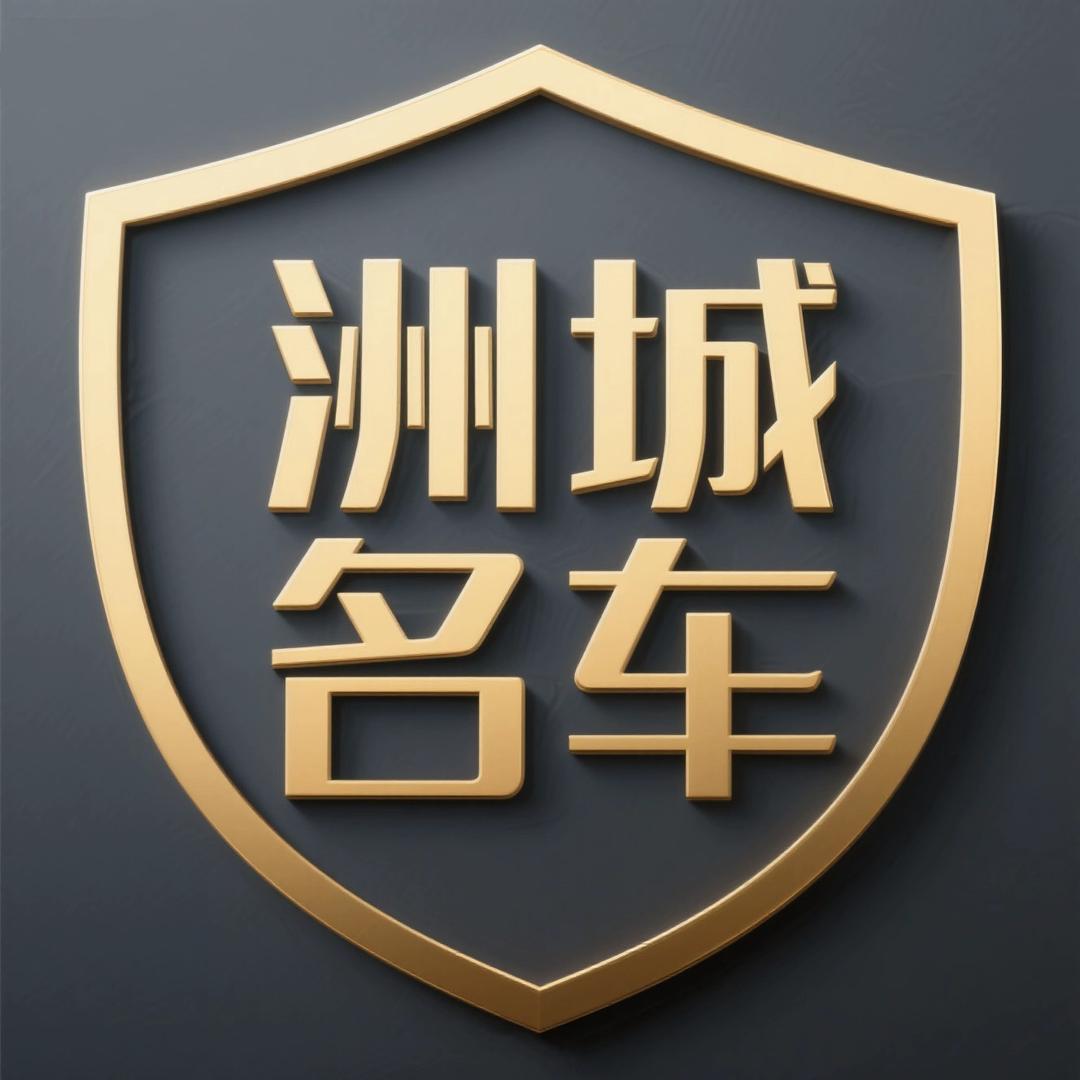 湖南洲城汽车贸易有限公司