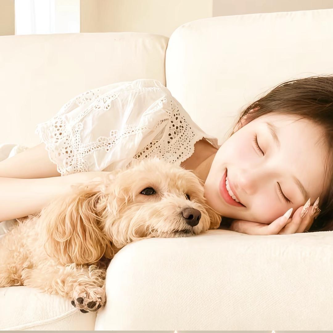 小狗蛋