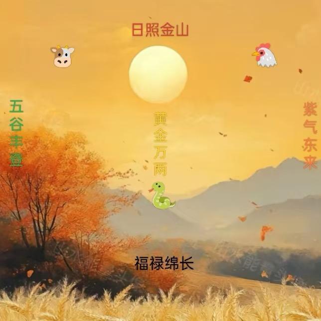 鑫瑶