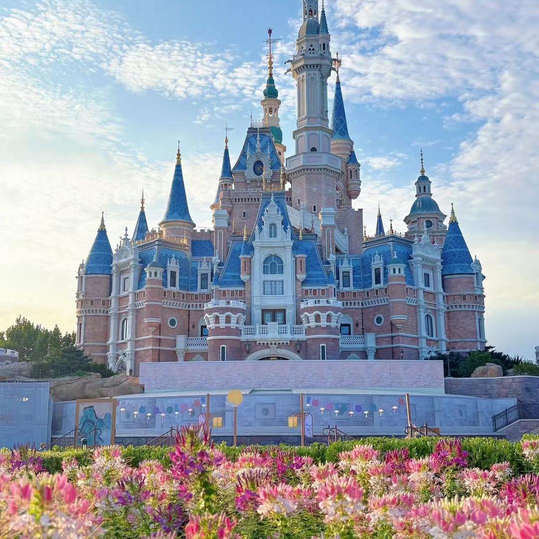 上迪推荐官小爱