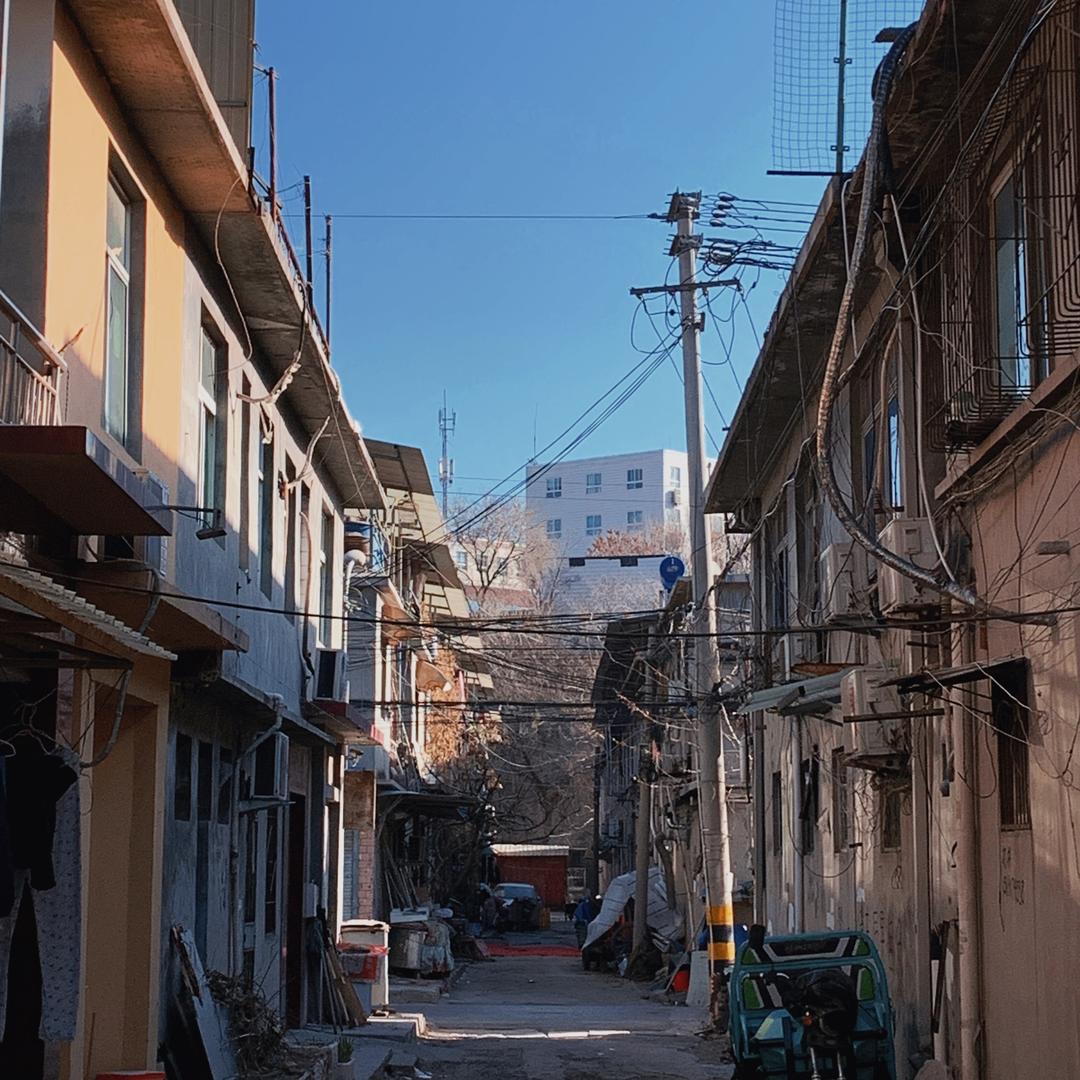 喜月飞来