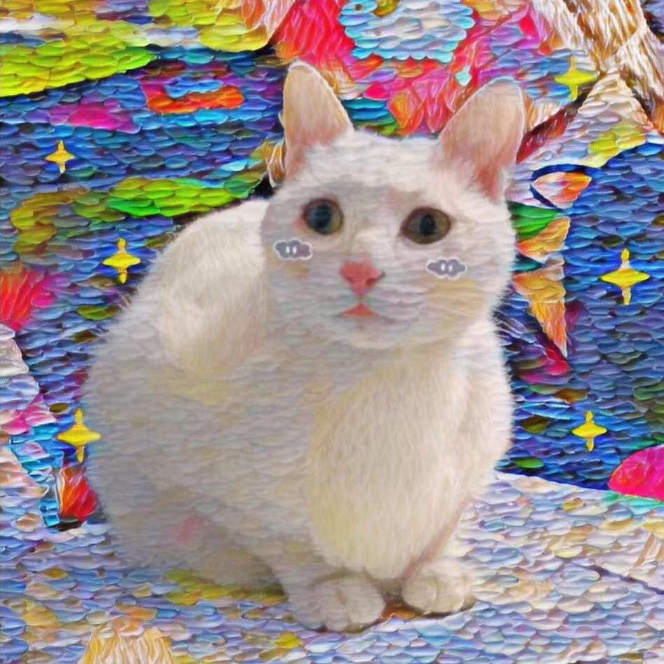 小虾米🦐