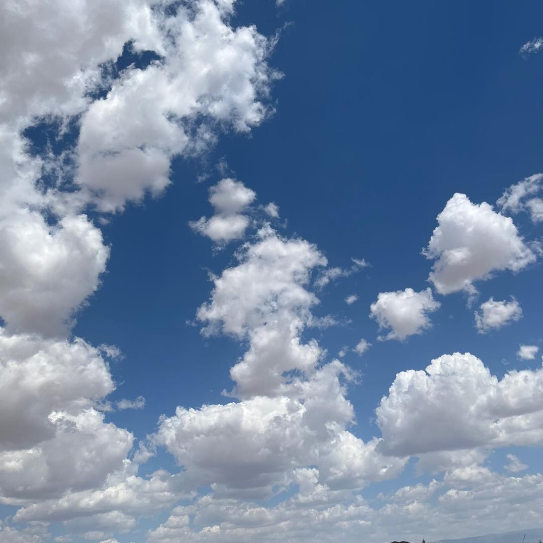 多财多艺🐇🐕