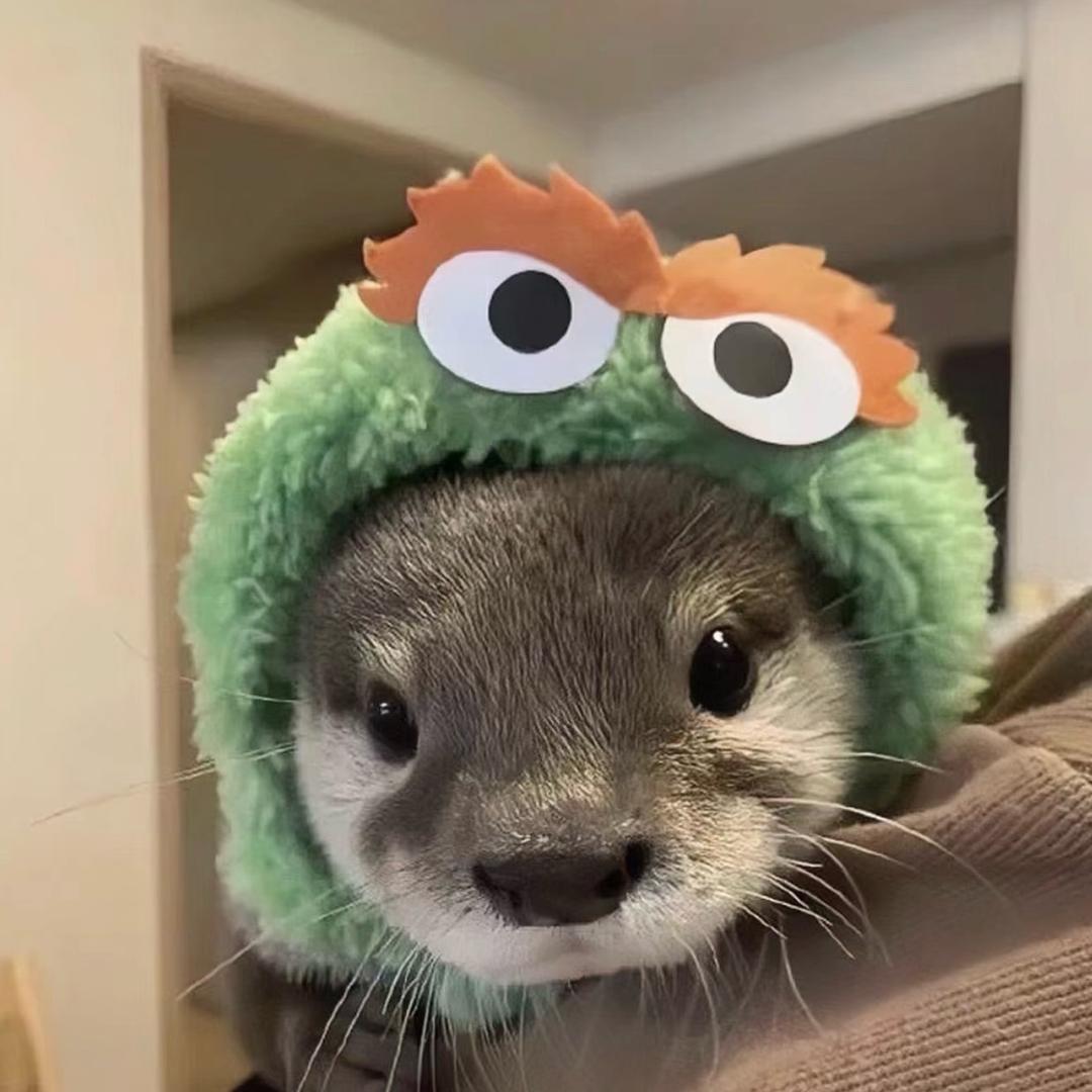 春归