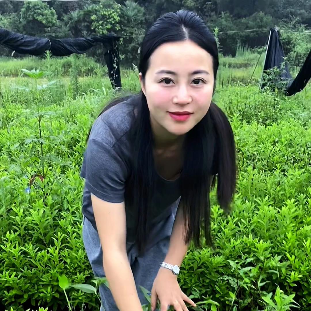 小肖的苗木生活