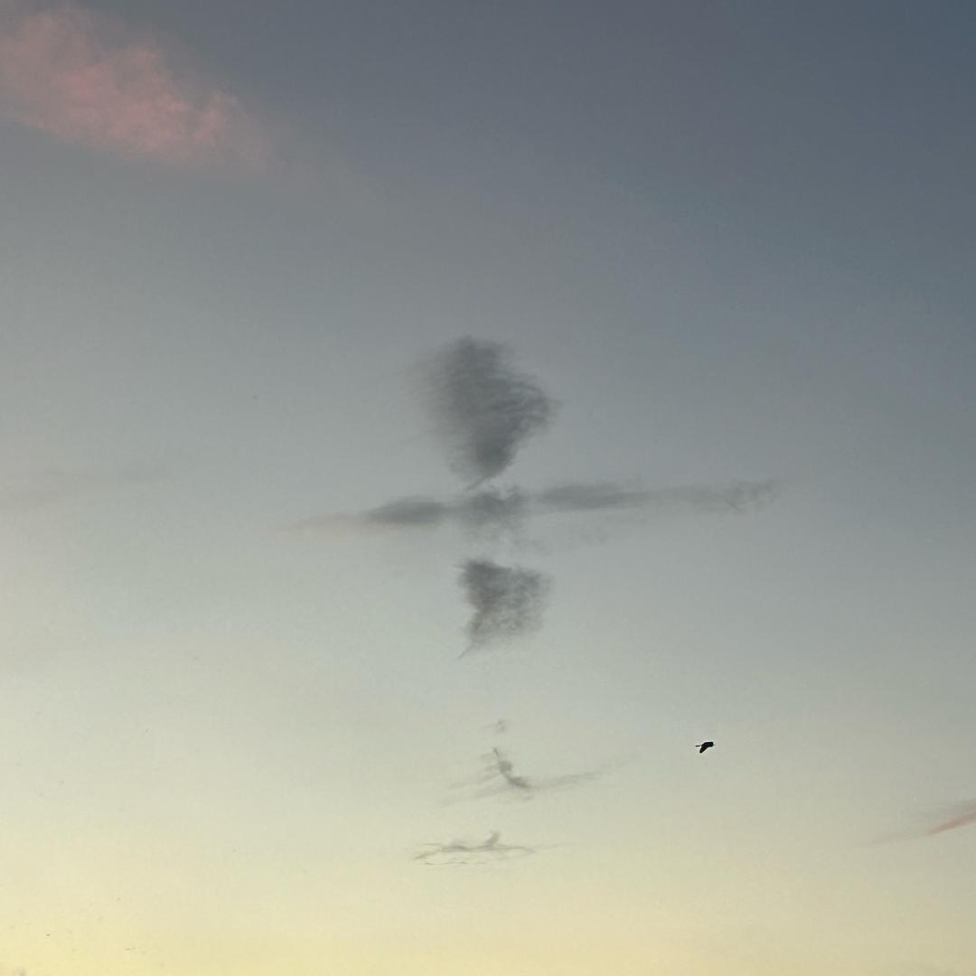 Xu大仙