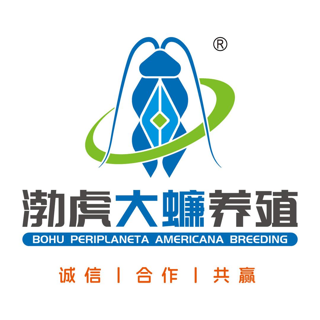 美洲大蠊卵鞘源头
