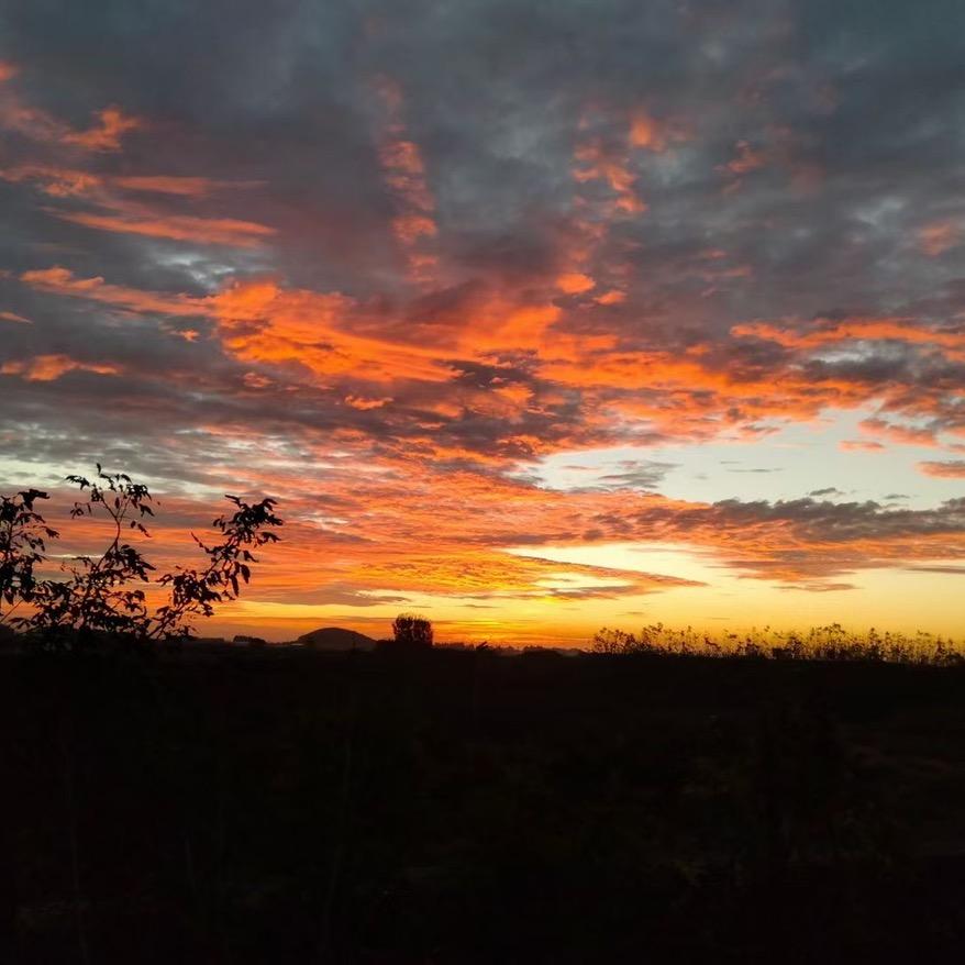 杂粮煎饼果子(兰田步行街百味夜市)