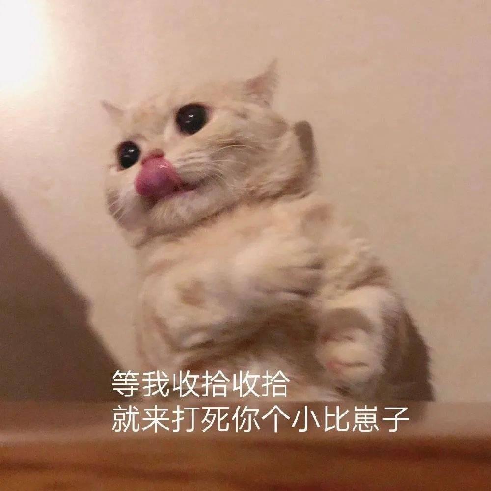 林小瑶
